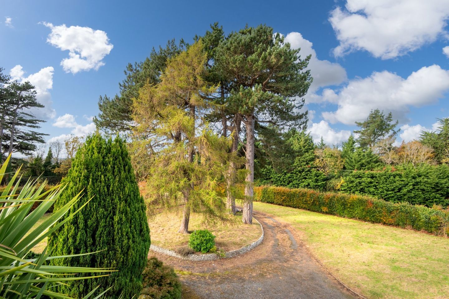 Beancroft, Beancroft, Kilmashogue Lane, Rathfarnham, Dublin 16, D16N8X4 37