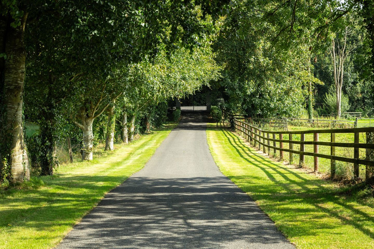 Cangort House, Shinrone, County Offaly, R42HT92