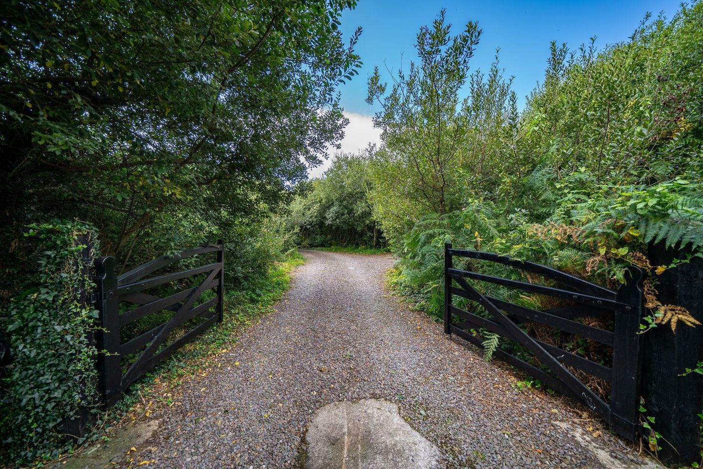 Castlecove Heights, Skehanagh, Castlecove, Castlecove, Co. Kerry, V93X303 25