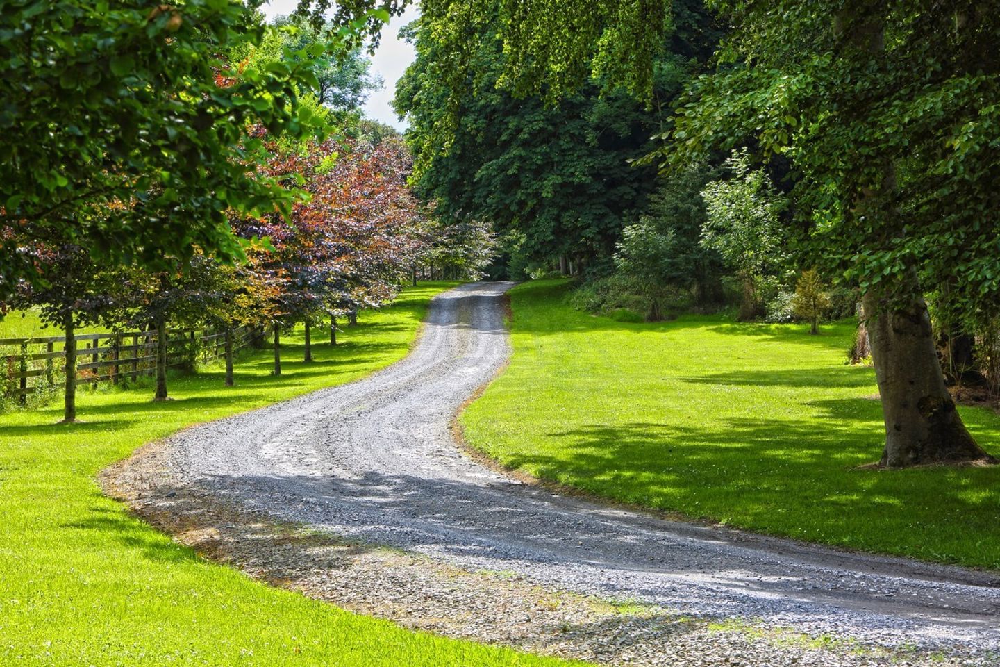 Belleview House, Coolbawn, Nenagh, Co. Tipperary, E45HH57 5