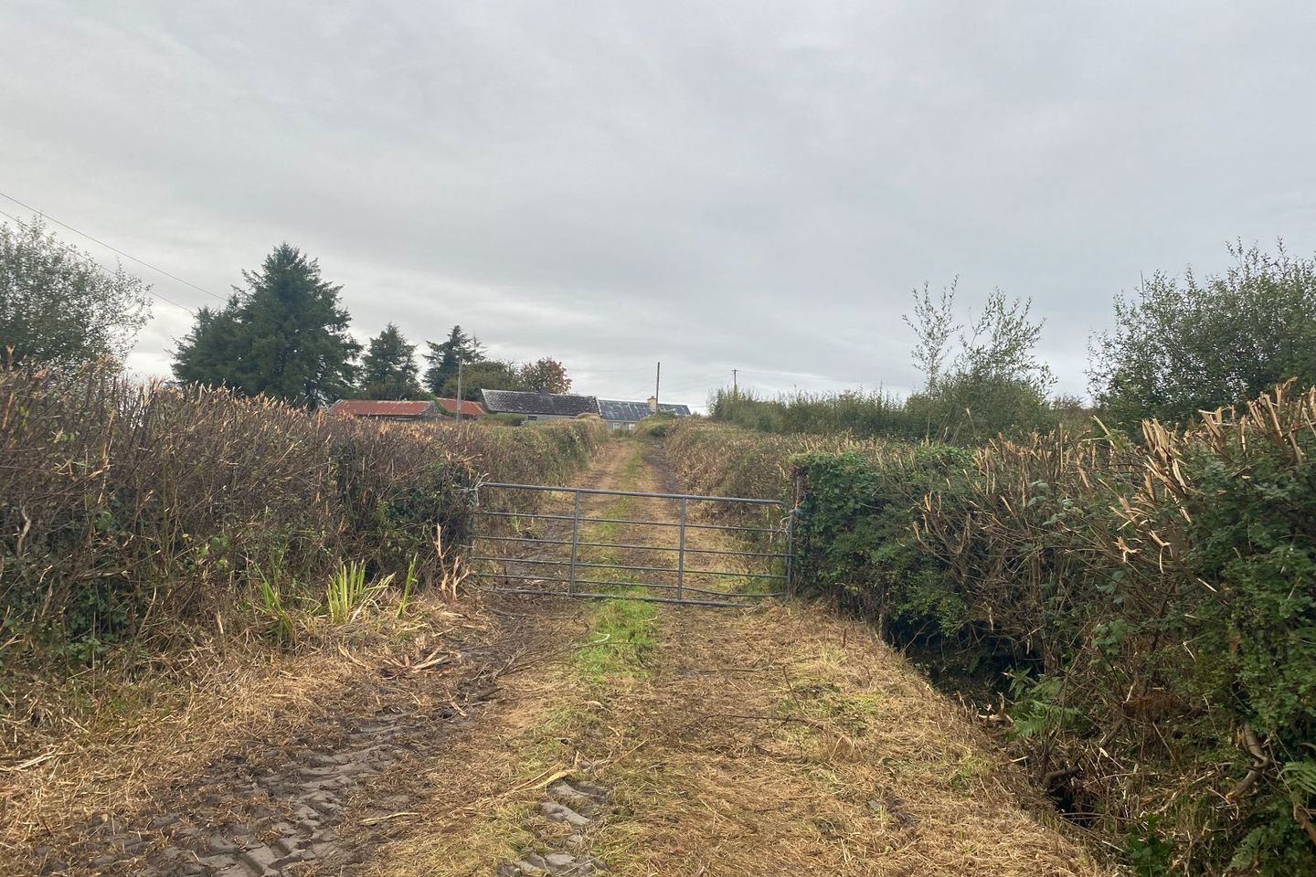 Knocknagraigue, Corofin, Ennis, Corofin, Co. Clare, V95CK70 15