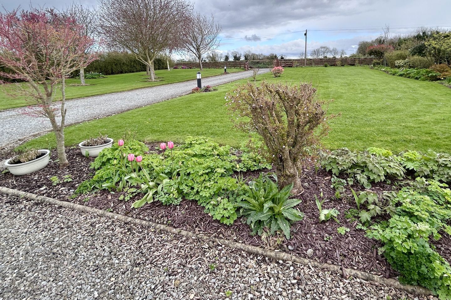 Winterburn, Conahy, Ballyragget, Co. Kilkenny, R95W2AH 85