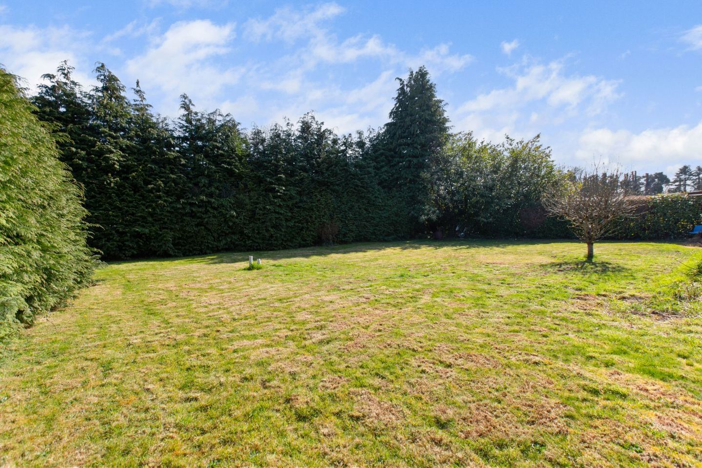 Saint Martin's, Ballyfree East, Glenealy, Co. Wicklow, A67F439 4