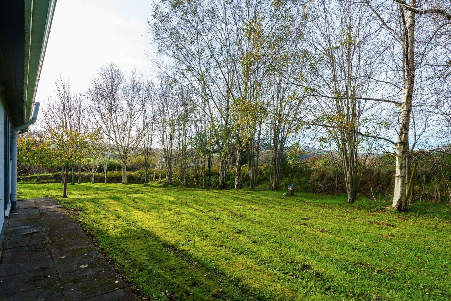 Tanamay, Dunganstown East, Kilbride, Kilmacurragh, Co. Wicklow, A67RY80 11