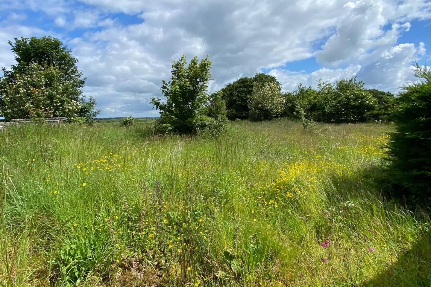 Lisduff, Danesfort, Loughrea, Co. Galway, H62TK24 6
