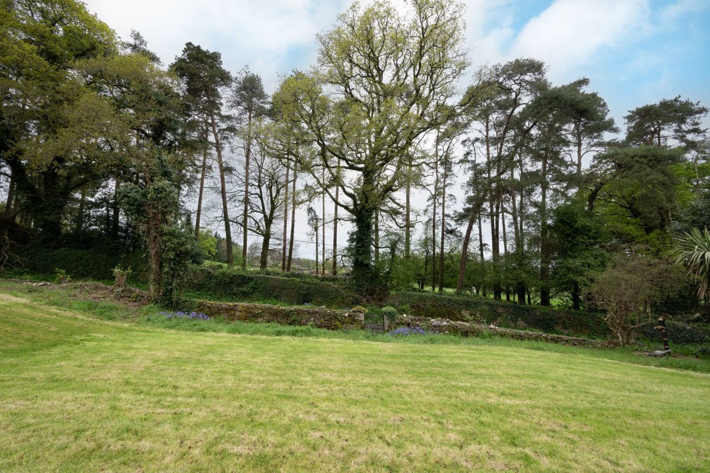 Greenwood Cottage, Green Road, Sapperton South, Tallow, Co. Waterford, P51YY72