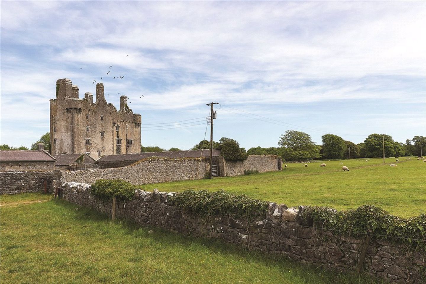 Sopwell Hall and Killaleigh Castle, Cloughjordan, Co. Tipperary, E53YN99 37