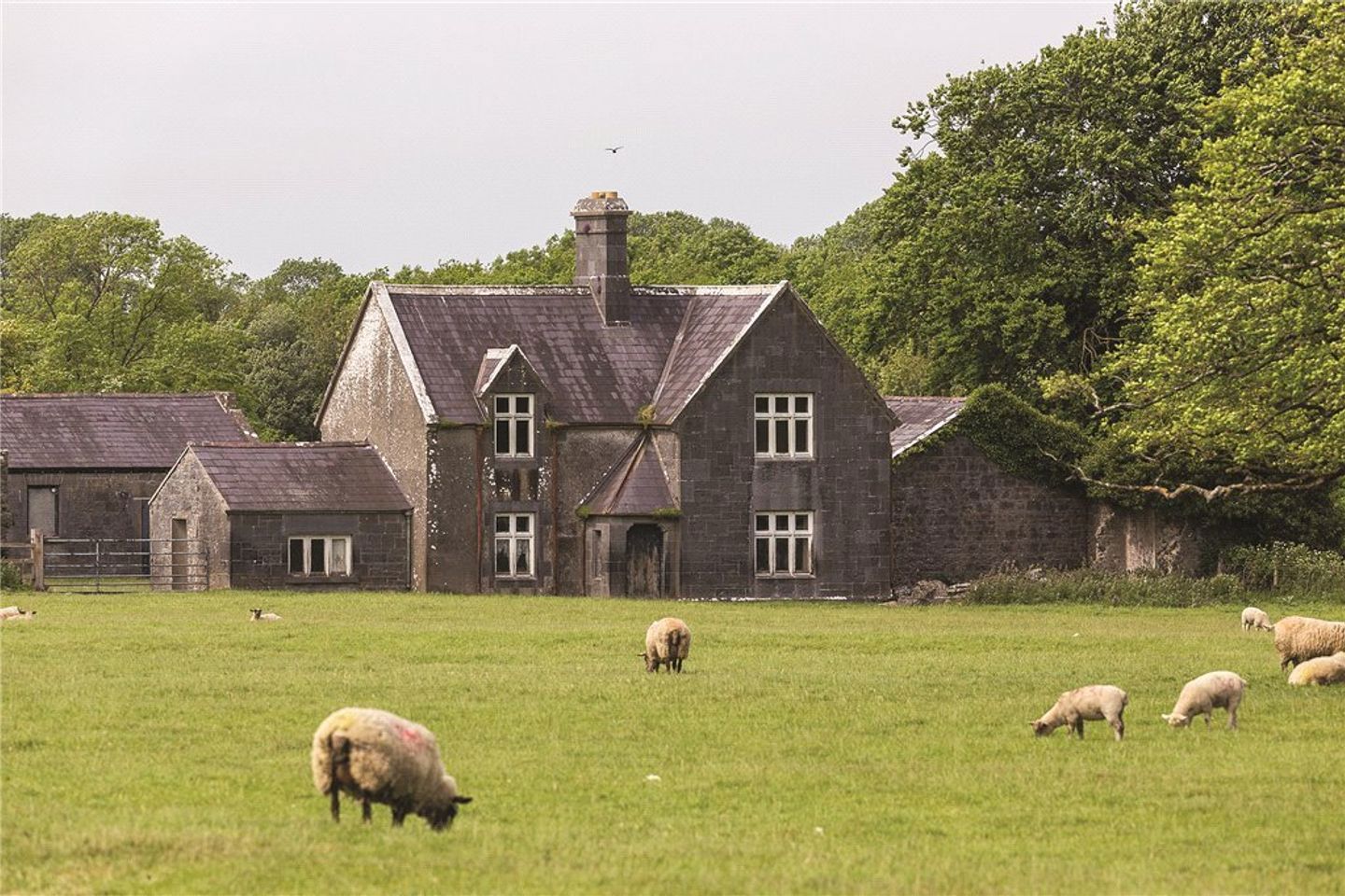 Sopwell Hall and Killaleigh Castle, Cloughjordan, Co. Tipperary, E53YN99 7