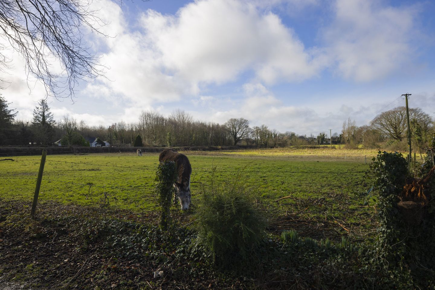 Kilmore, Enfield, Co. Meath, A83RP20 12