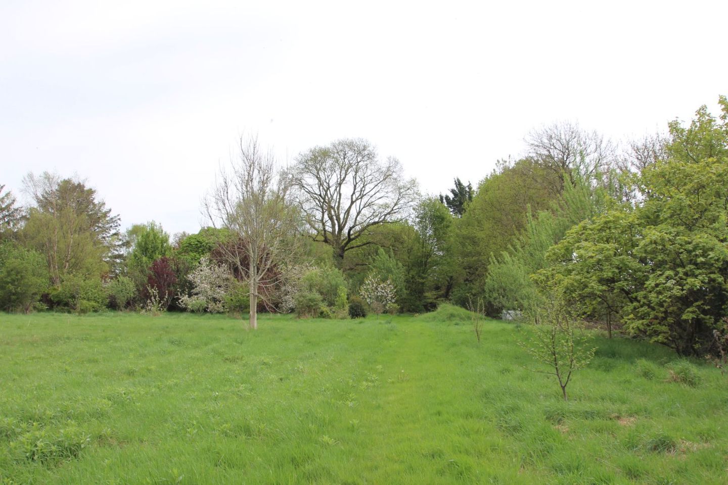 BARONY HOUSE, Barony House, Tullamore, Co. Offaly, R35H7T2 14