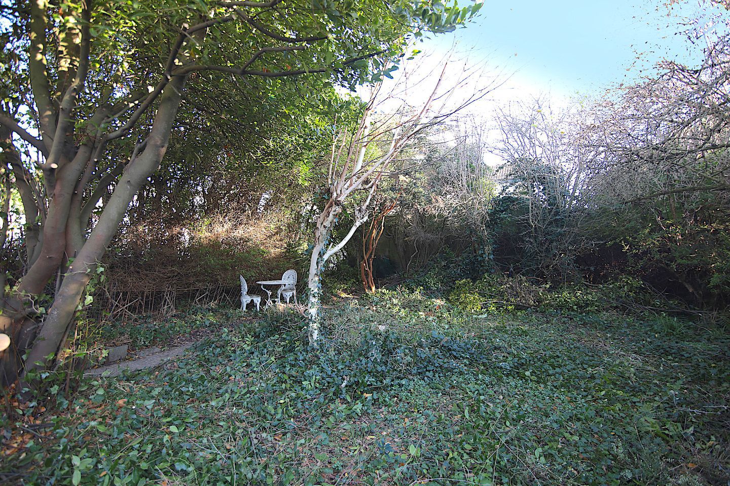Lissadell, 107 Vernon Avenue, Clontarf, Dublin 3, D03CV04 15