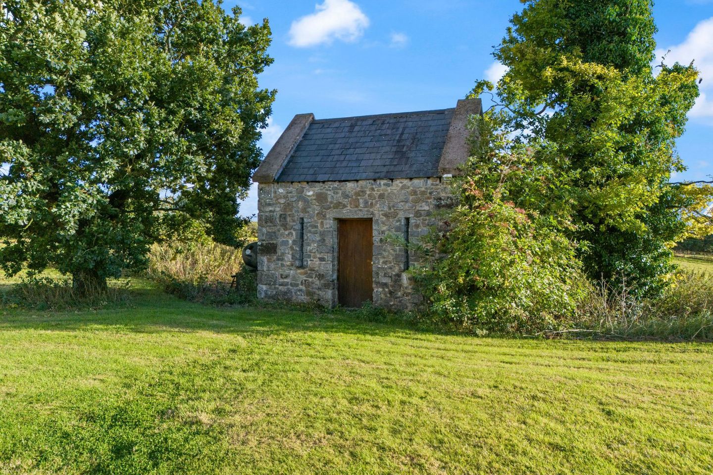 KILLAHARA CASTLE, Killahara, Thurles, Co. Tipperary, E41W6P3 77