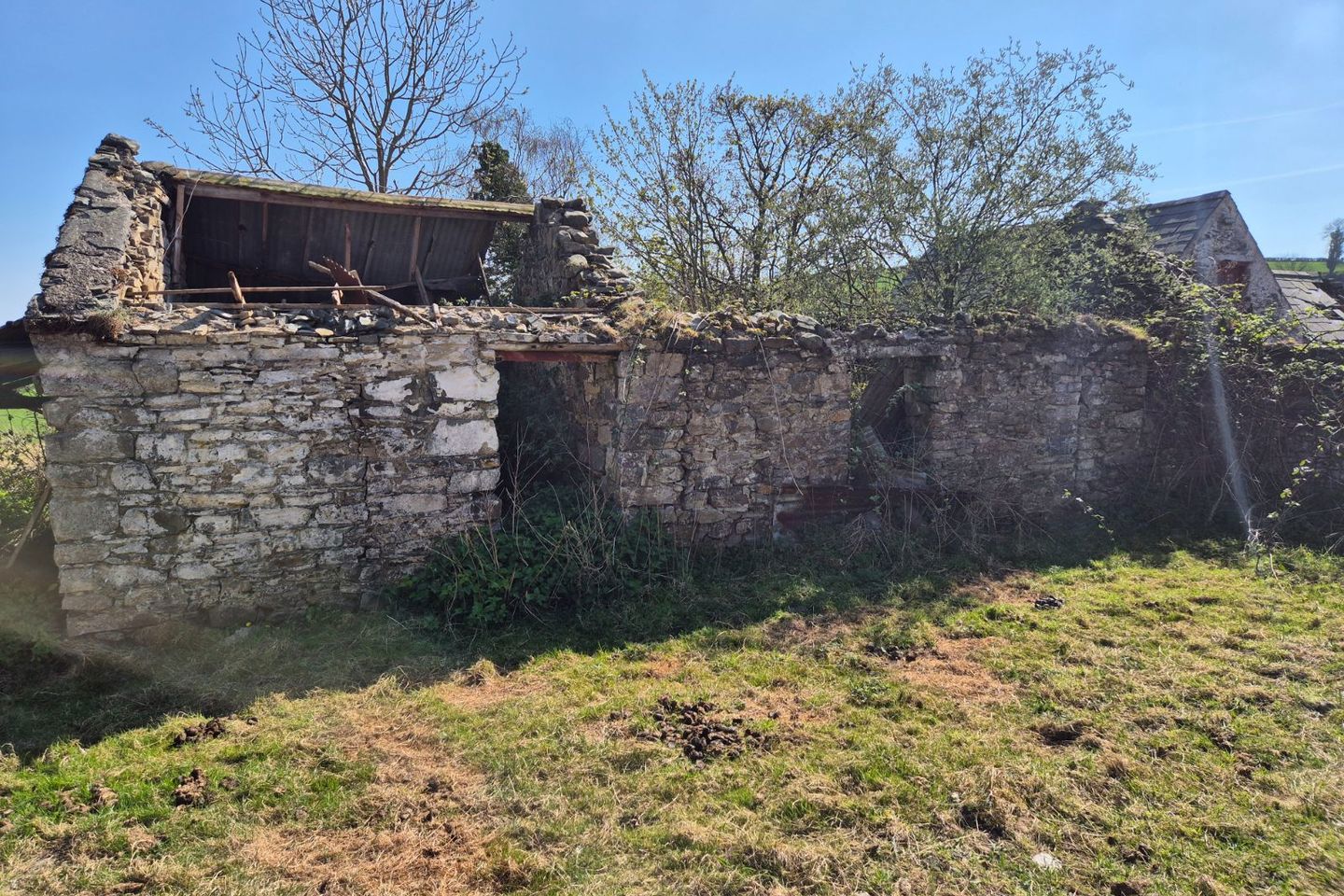 lisnaclea, carrickmacross, monaghan 2