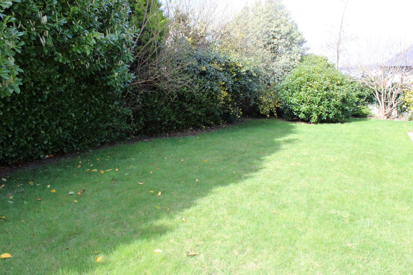Ard Alainn, Castlebridge, Castlebridge, Co. Wexford, Y35WN96 20