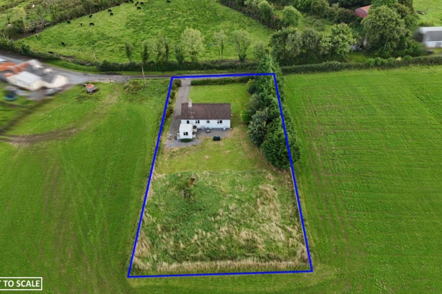 Moher, Strokestown, Co. Roscommon, F42YK60 12