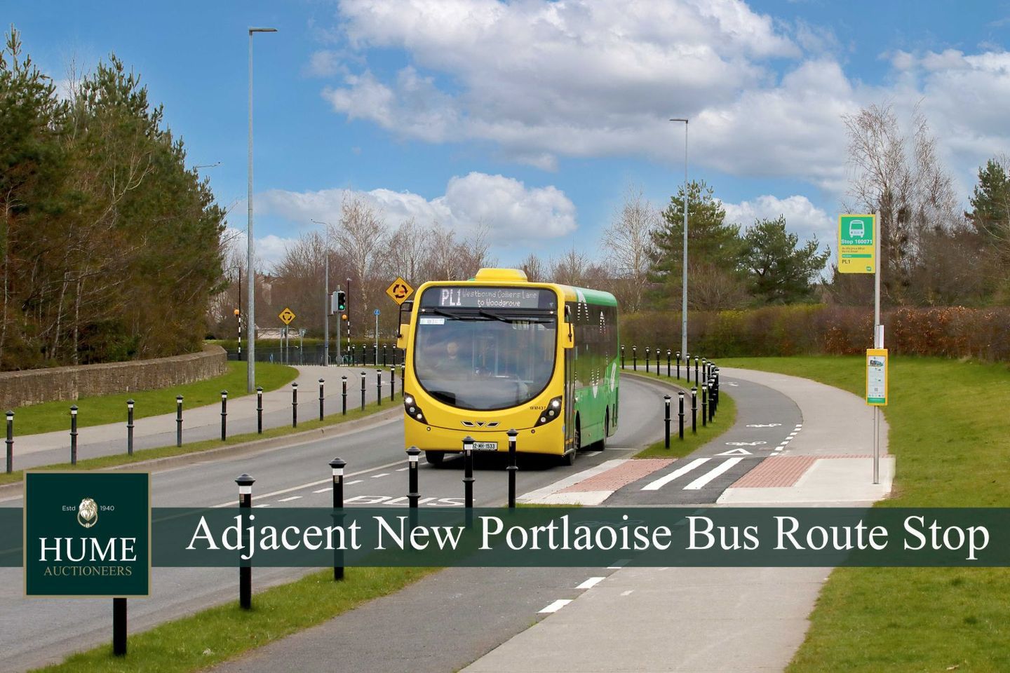 Ridge Road, Portlaoise, Portlaoise, Co. Laois, R32FE0P 9