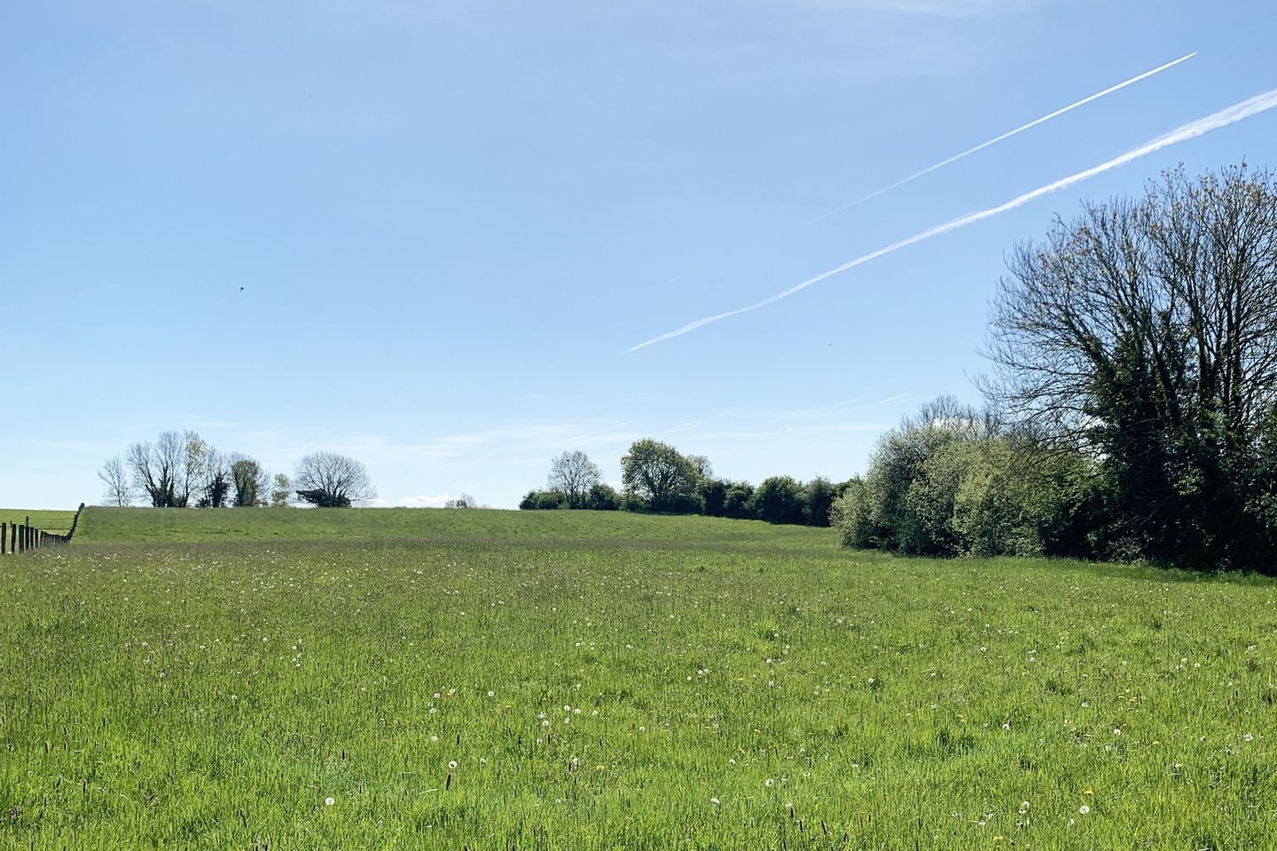 Brookfield, Templemartin, Clara, Co. Kilkenny, R95A8F8 25