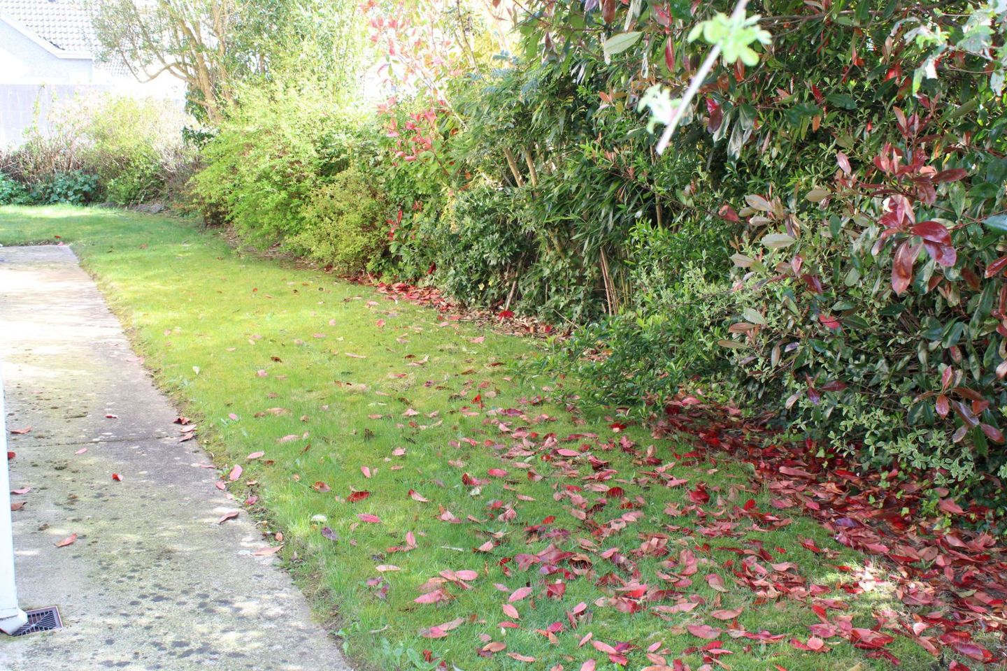 Ard Alainn, Castlebridge, Castlebridge, Co. Wexford, Y35WN96 21