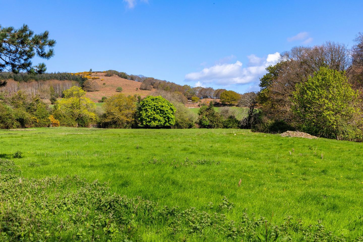 The Downs House, Glen Of The Downs, Delgany, County Wicklow, Delgany, Co. Wicklow, A63PY50 18