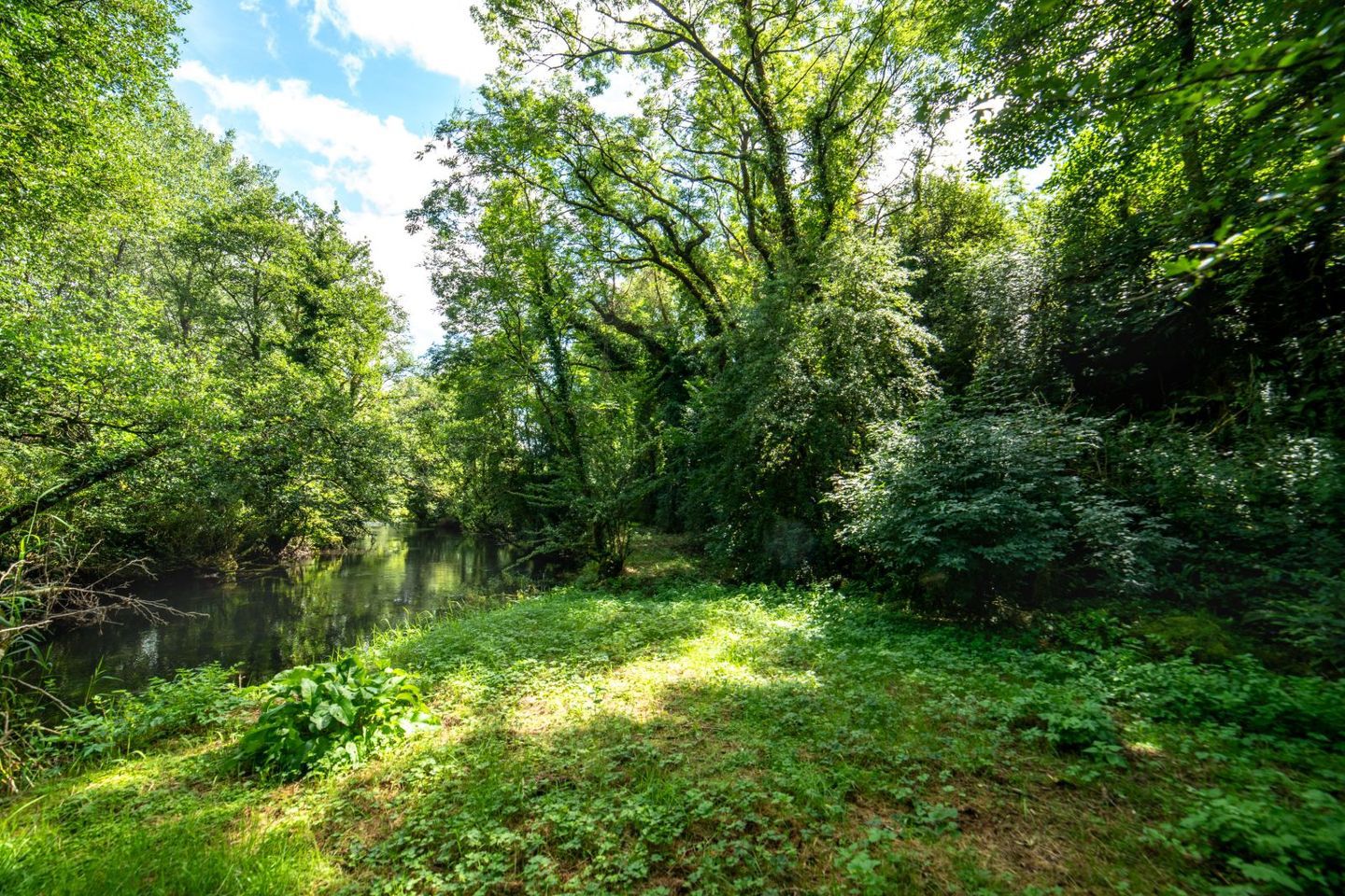 Awbeg House, Doonawanly, Castletownroche, Co. Cork, P51D368 22