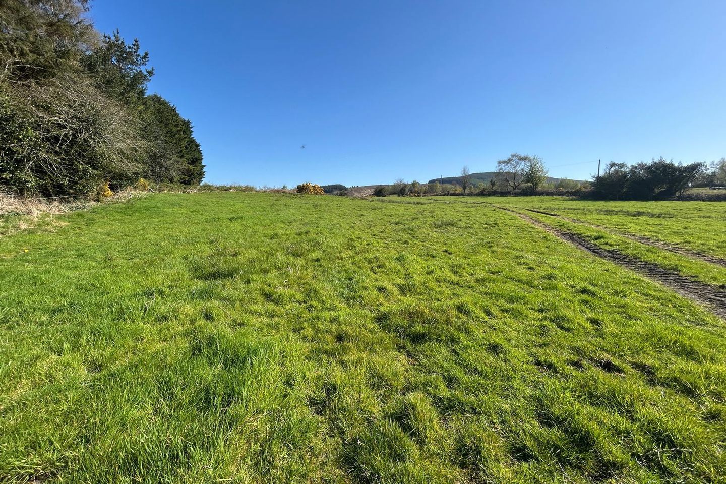 Residential Farm, Ardaneanig, Killarney, Co. Kerry, V93E6W0 19