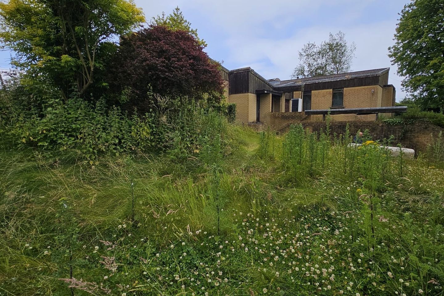 Eureka, Shillelagh Road, Tullow, Co. Carlow, R93F430 21