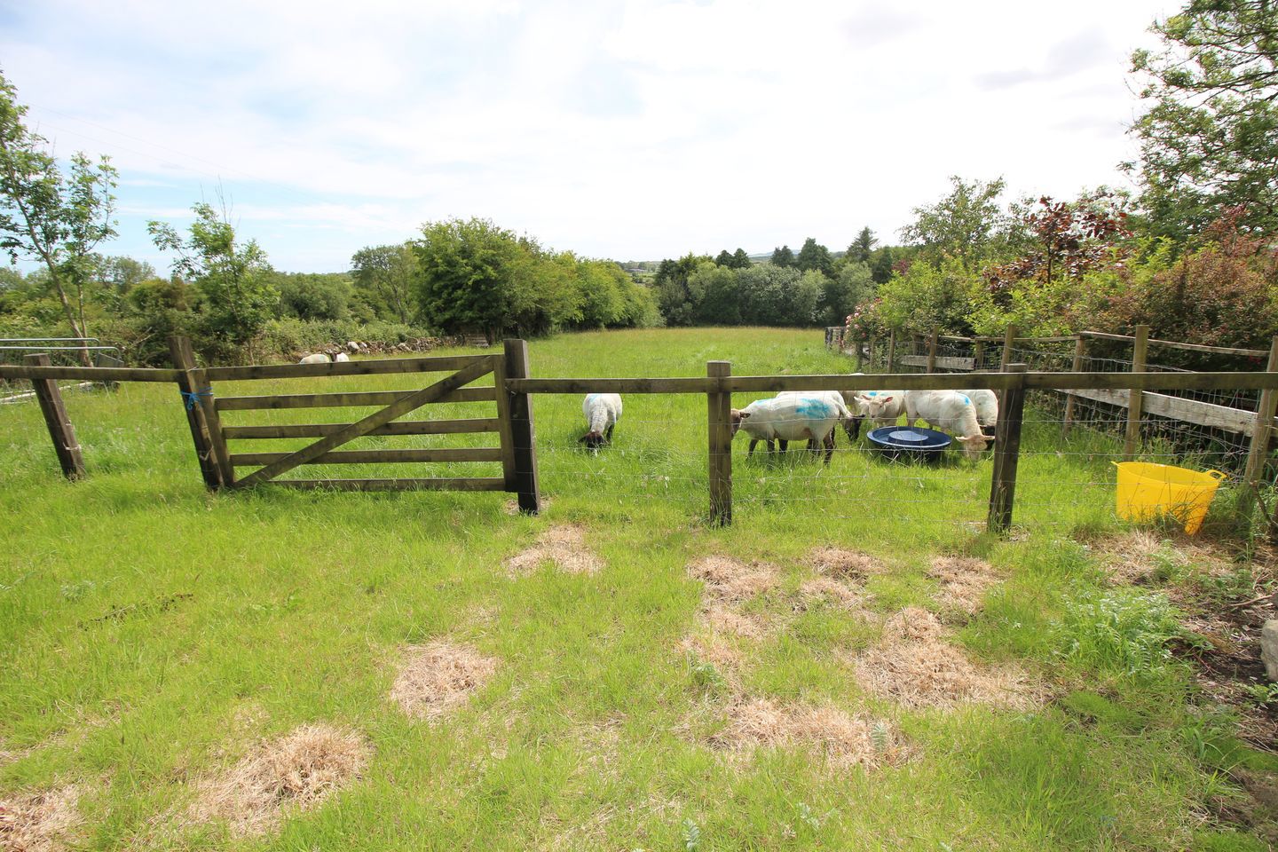 Lehid, Milltown, Co. Galway, H54W654 33