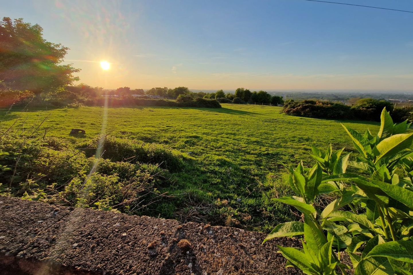 2 Woodtown Cottages, Rathfarnham, Dublin 16, D16W6X0