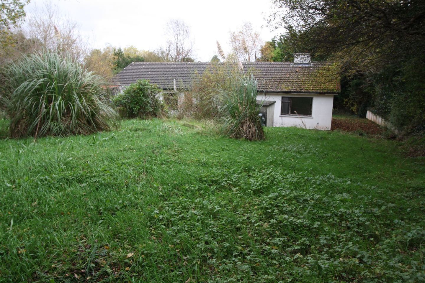 Derrynanaff, Barley Hill, Westport, Co. Mayo, F28W744