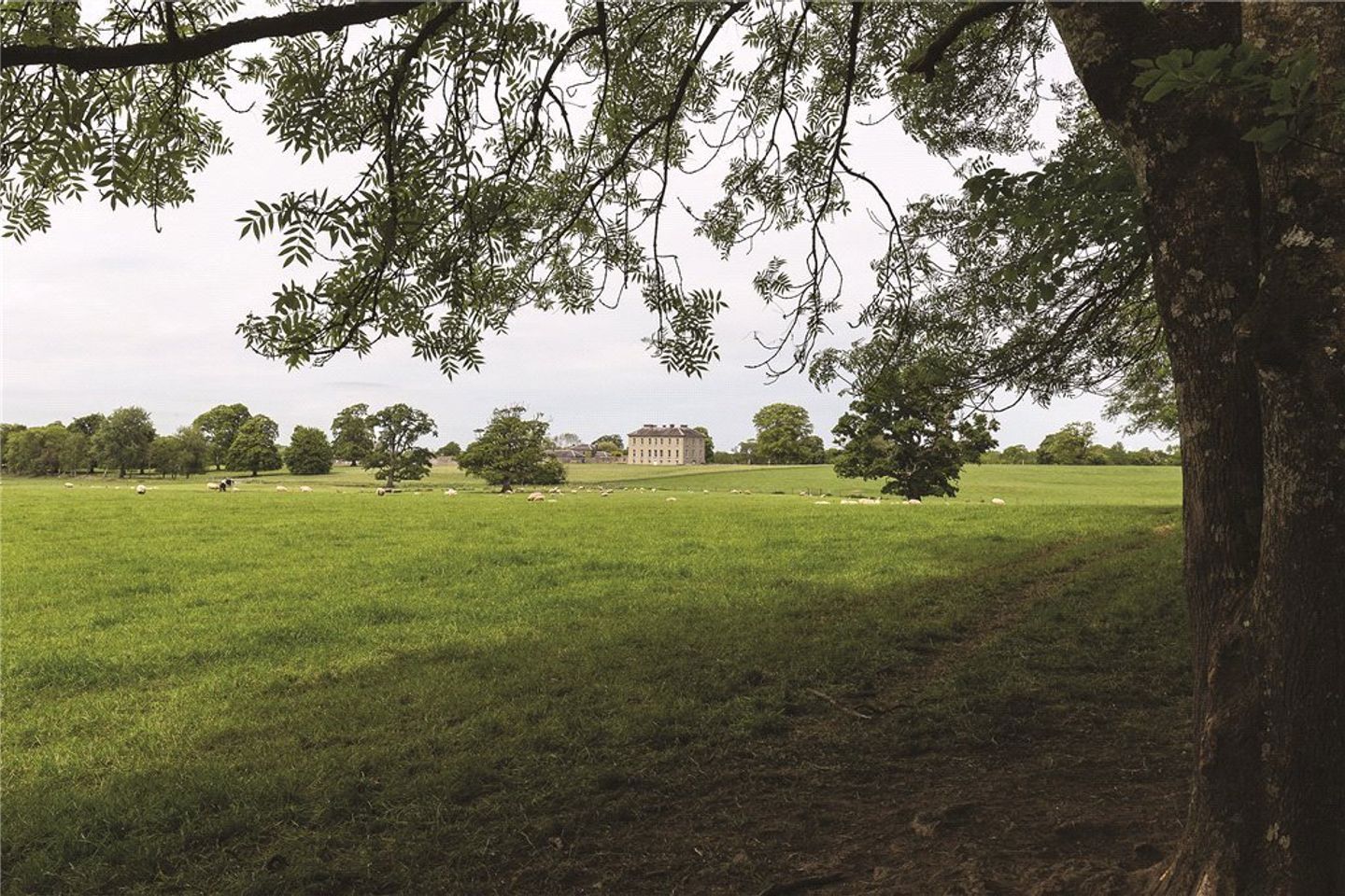 Sopwell Hall and Killaleigh Castle, Cloughjordan, Co. Tipperary, E53YN99 31