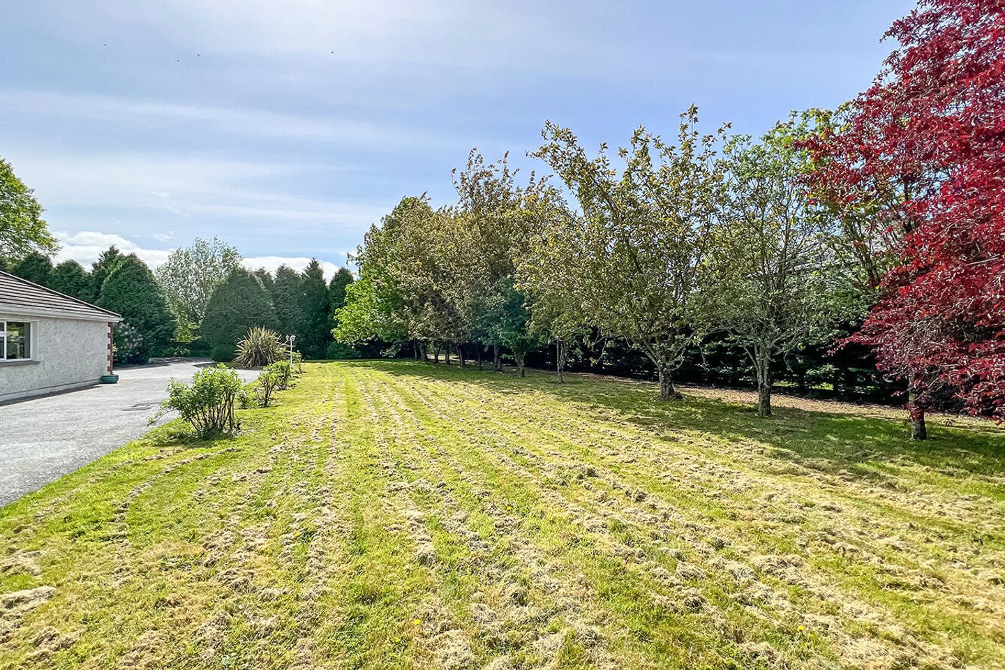 Cherry Blossom Lodge, Kilmacahill, Paulstown, Co Kilkenny, R95K4W2 53