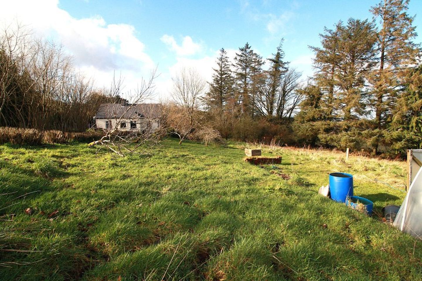 Banemore, Broadford, Banemore, Co. Limerick, P56EH60 4