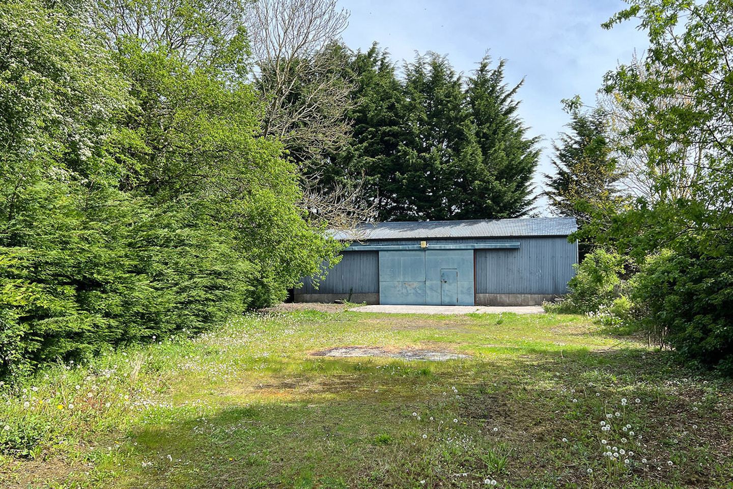 Cherry Blossom Lodge, Kilmacahill, Paulstown, Co Kilkenny, R95K4W2 43