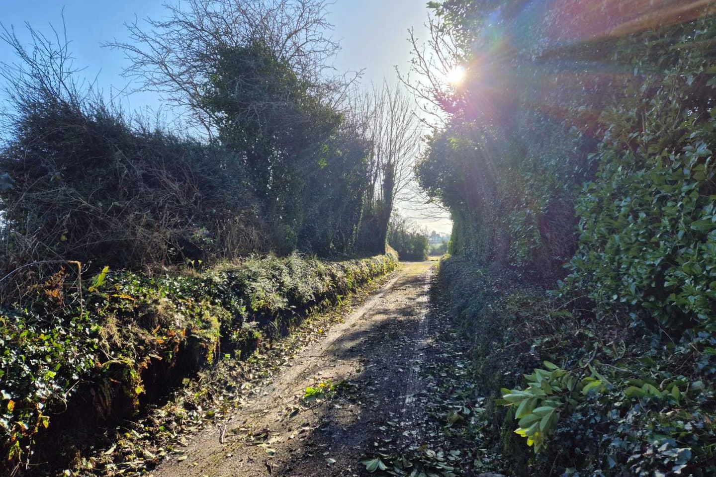 Moynsha, Abbeyfeale, Co. Kerry, V94Y284 5