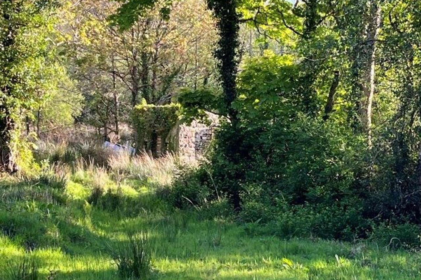Conray, Rossinver, Kiltyclogher, Co. Leitrim, F91Y802 33
