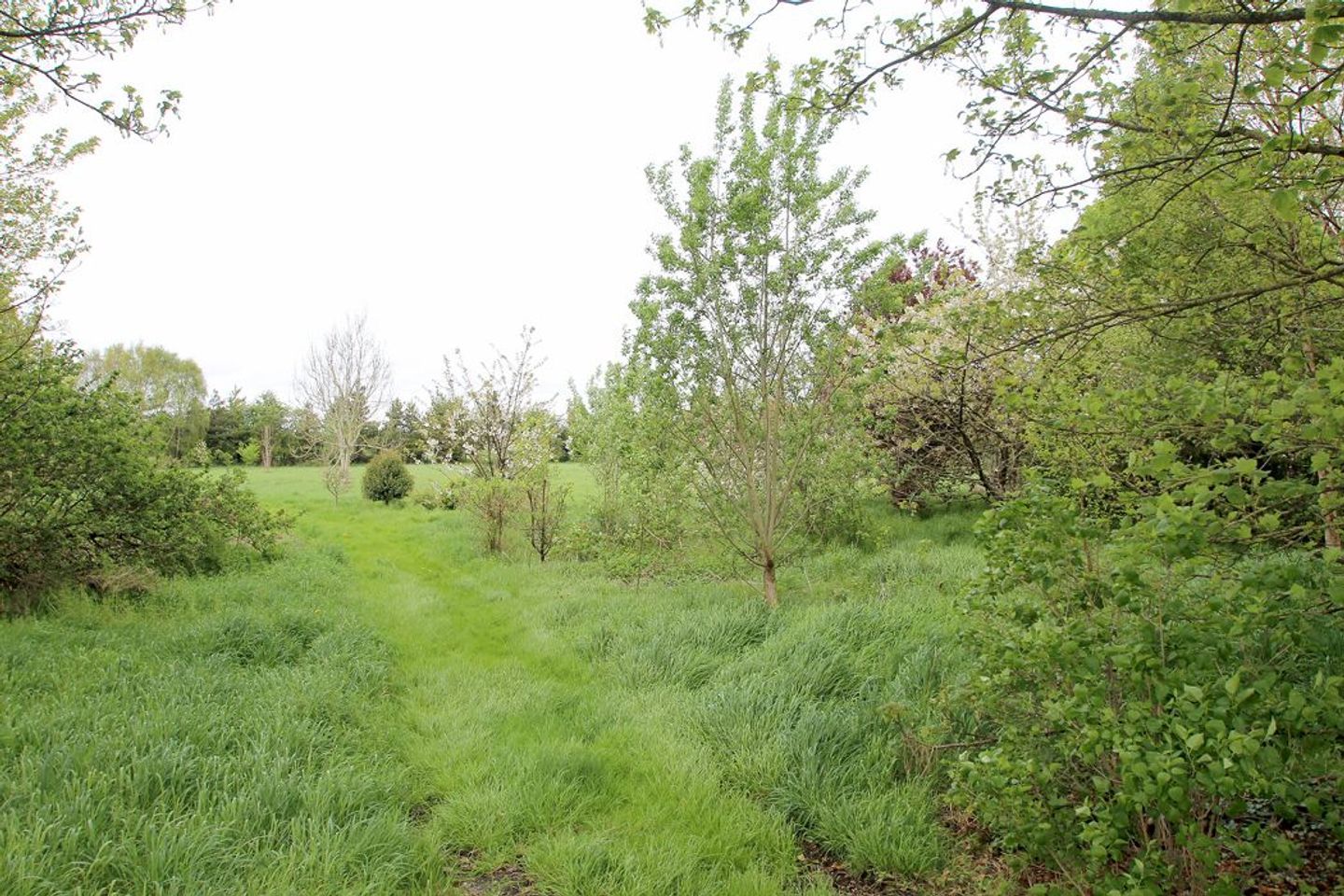BARONY HOUSE, Barony House, Tullamore, Co. Offaly, R35H7T2 23