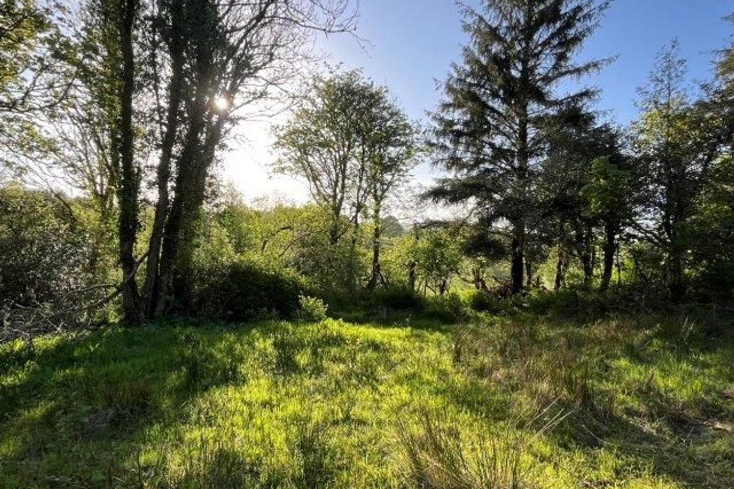 Conray, Rossinver, Kiltyclogher, Co. Leitrim, F91Y802 32