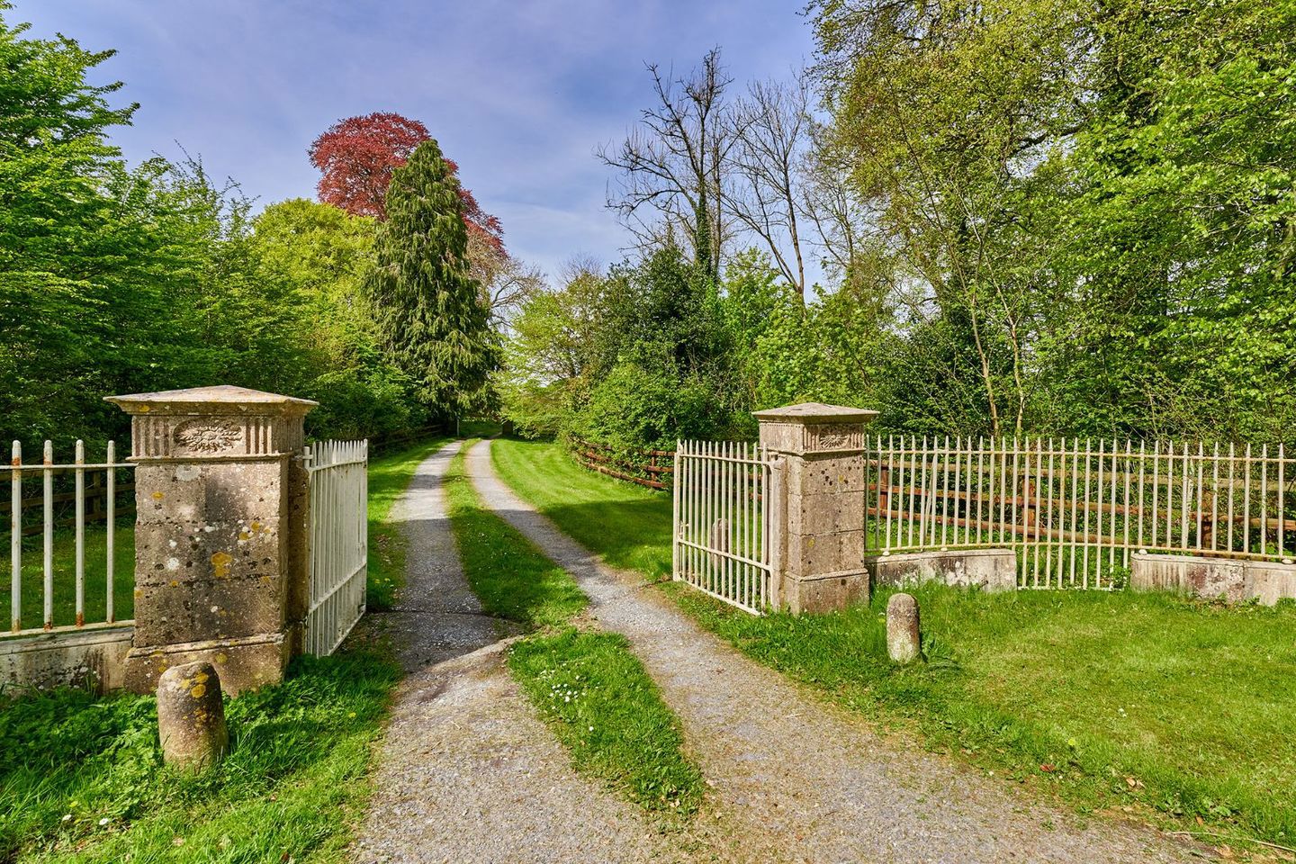 Mountainstown House, Navan, Co. Meath, C15C938 10