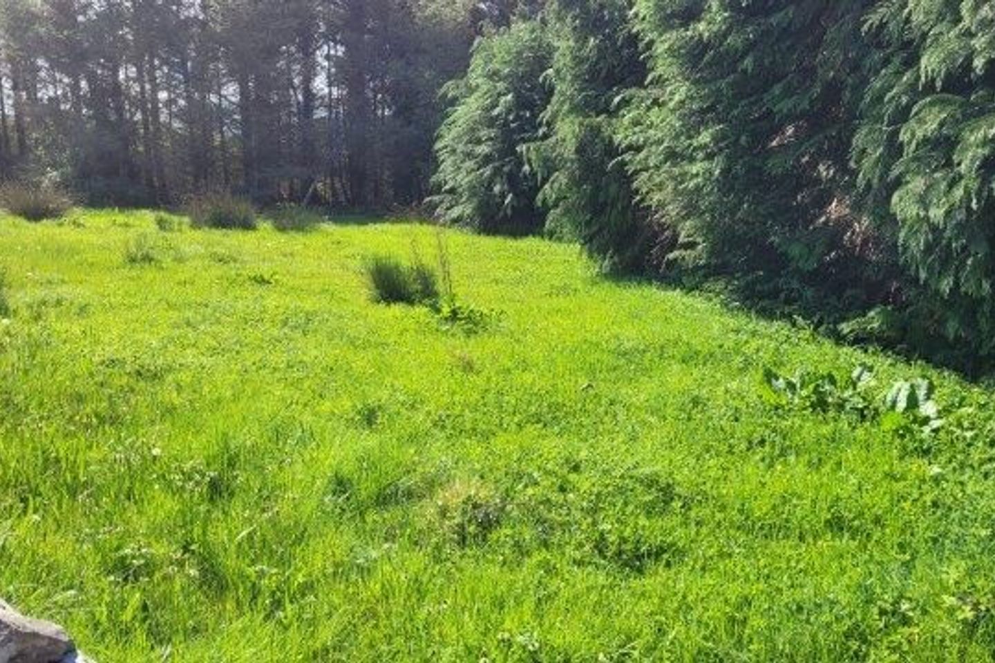 Uragh, Tullaghan, Tullaghan, Co. Leitrim, F91H5R6 11