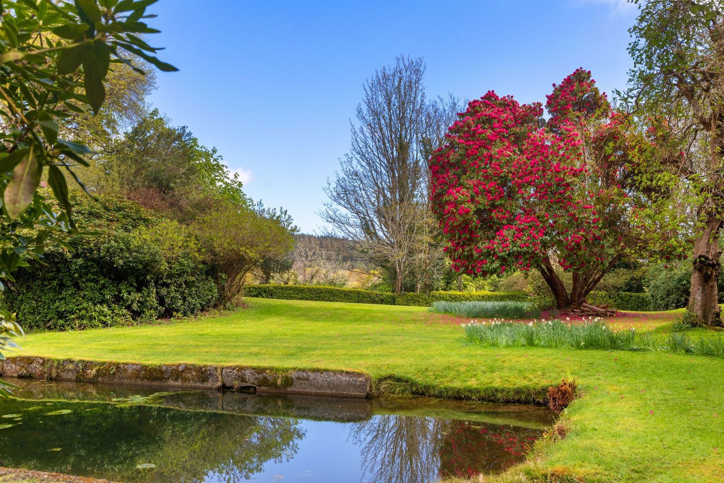 The Downs House, Glen Of The Downs, Delgany, County Wicklow, Delgany, Co. Wicklow, A63PY50 16