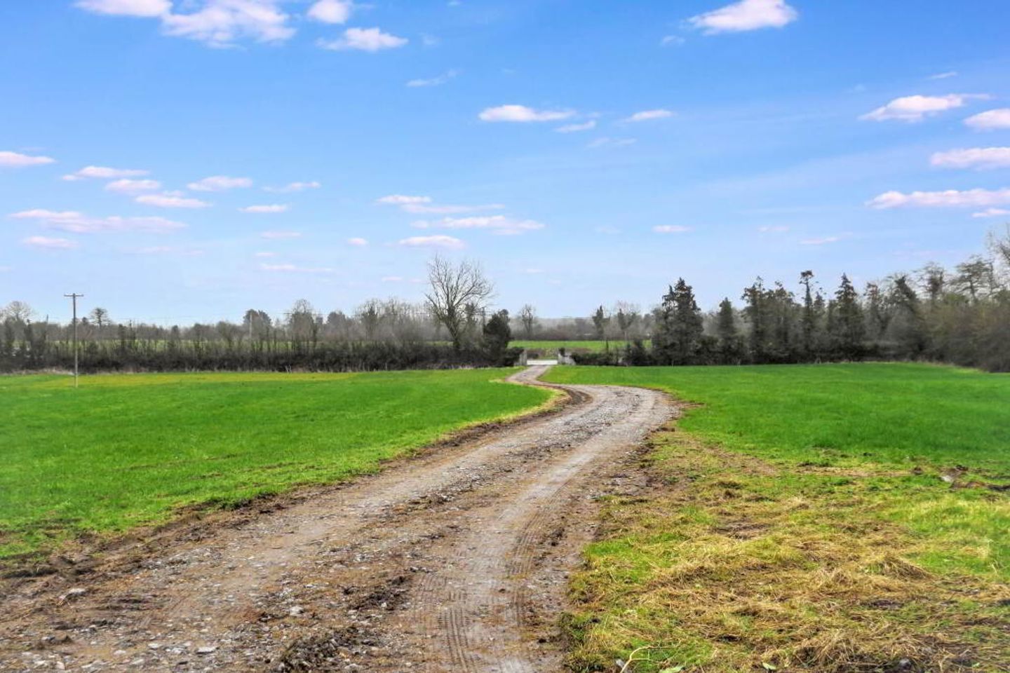 Deerpark, Charleville, Co. Cork, P56Y938