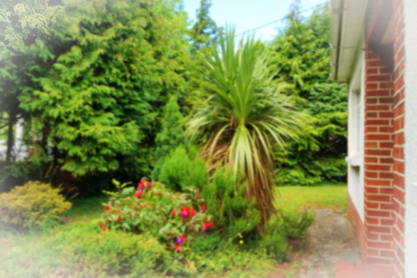 27 Redesdale Road, Mount Merrion, Co. Dublin, A94T9W6 11