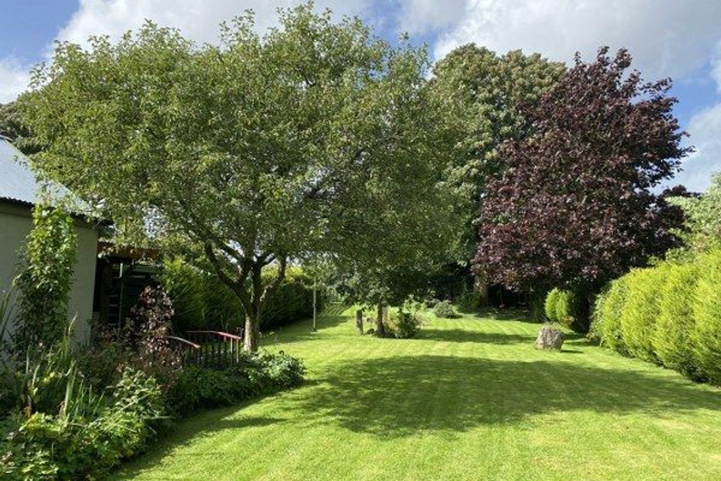 6 Main Street, Carnew, Carnew, Co. Wicklow, Y14N1N8 19