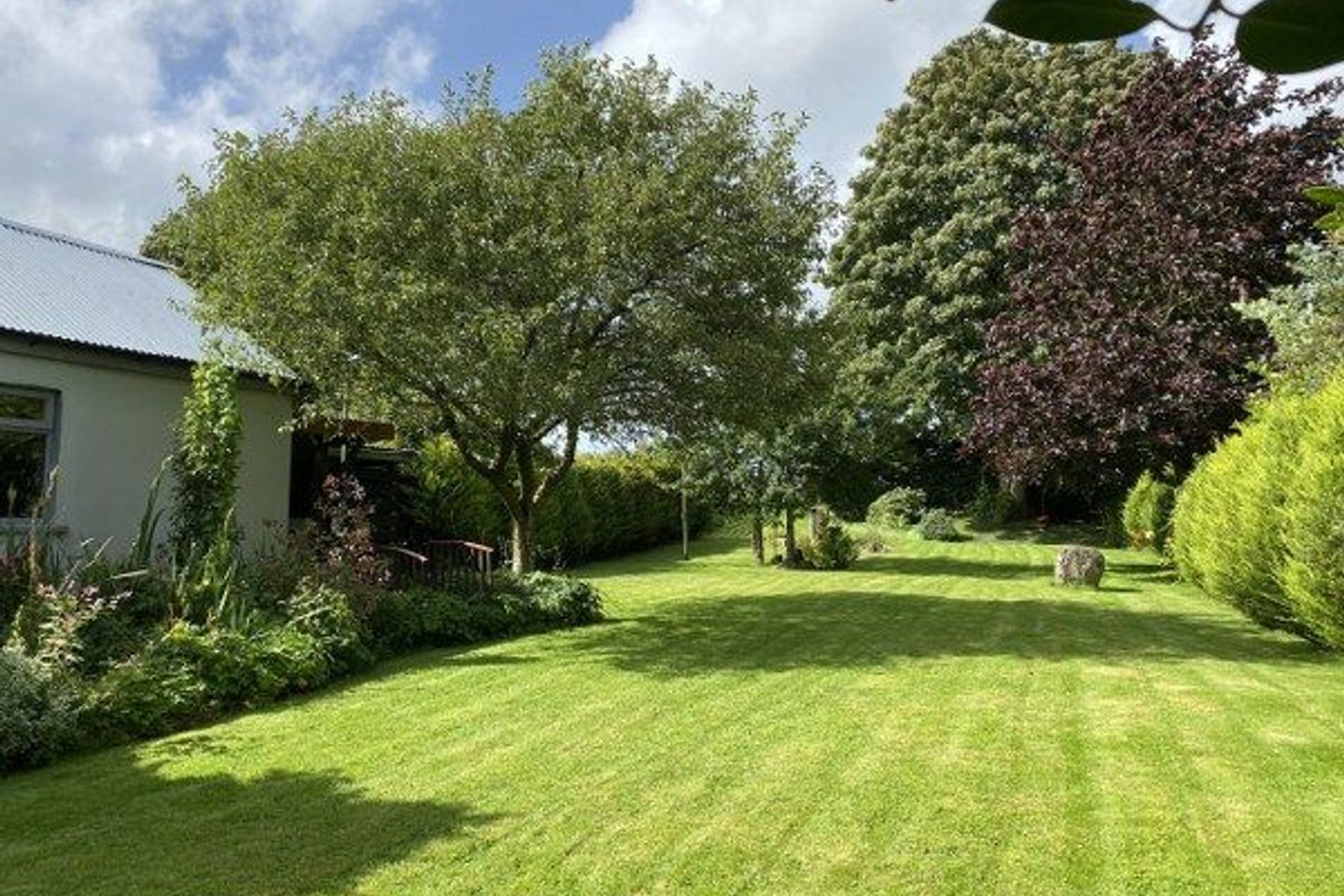 6 Main Street, Carnew, Carnew, Co. Wicklow, Y14N1N8 20