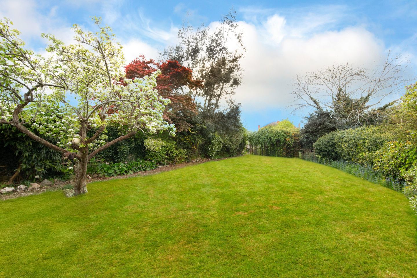137 Fortfield Road, Terenure, Dublin 6W, D6WV562 22