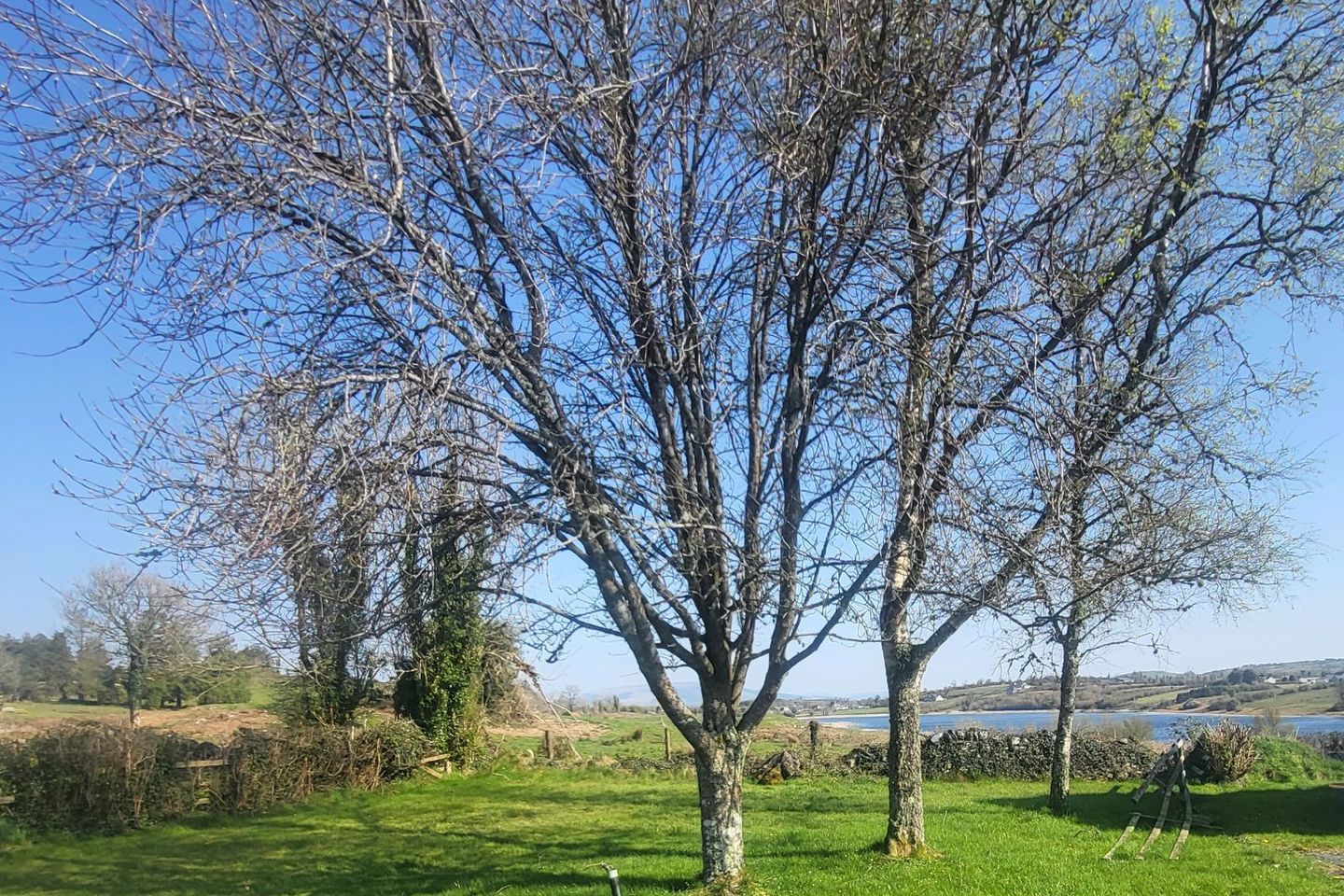 3 Loughbran Cottages, Grange, Drumsna, Co. Leitrim, N41F8X0