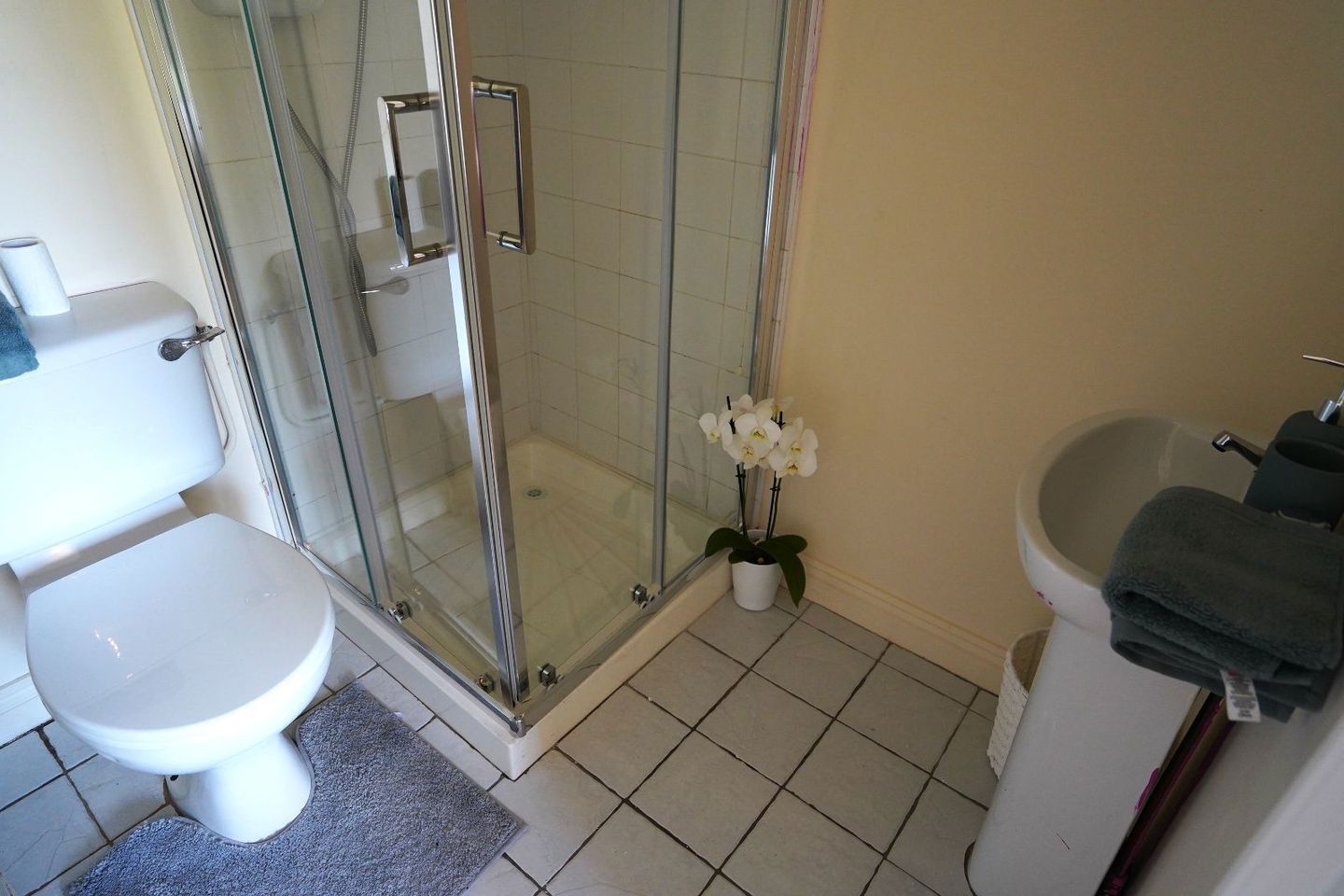 10 Brookfields, Shannon, Co. Clare, V14H006 23