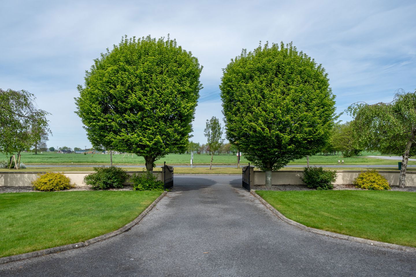 Tegan Court, Screggan, Tullamore, Co Offaly, R35D866 14