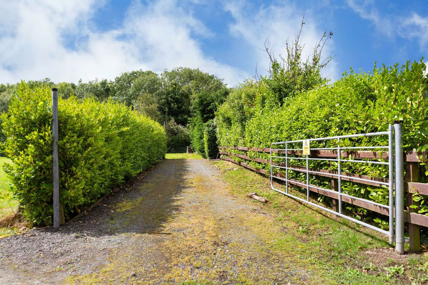 Fern Grove, Beech Road, Wicklow Town, Co. Wicklow, Y14PX96 6