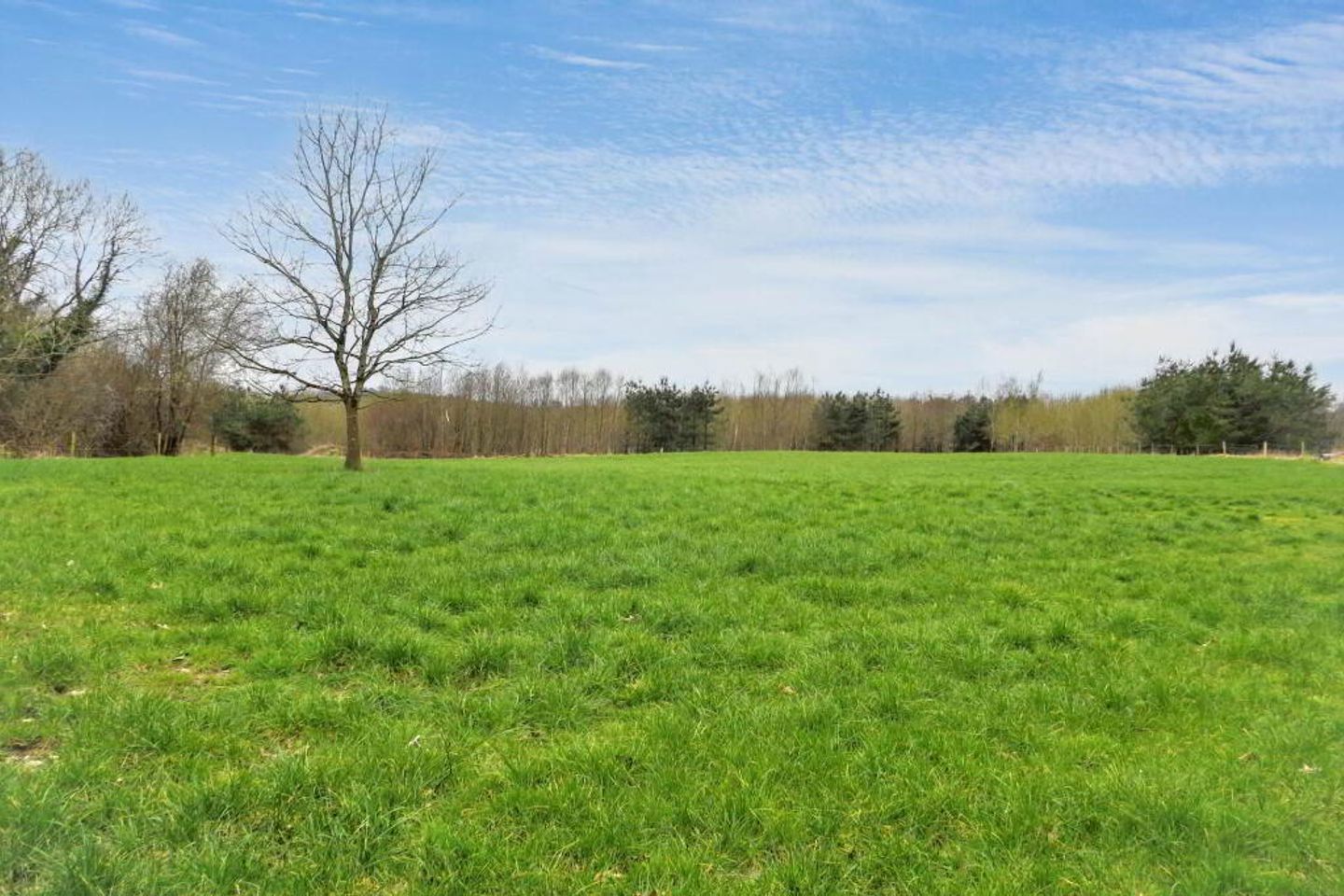 Glenfield South, Liscarroll, Mallow, Co. Cork, P51EH95